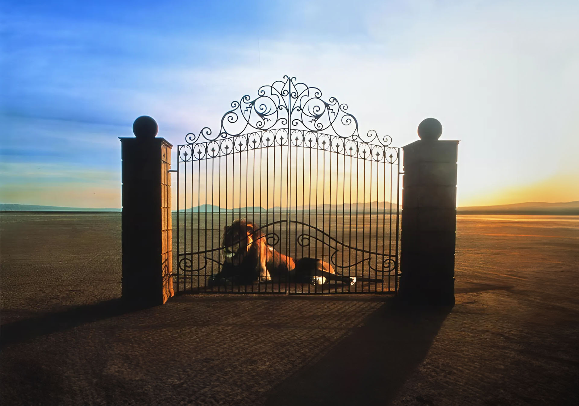 Die Geschichte von FAAC: 1985