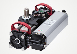 FAAC S800 ENC Drehtorantrieb